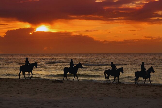 Sunset Horseback Ride by the Beach in Aguadilla, Puerto Rico - Key points to know before you saddle up