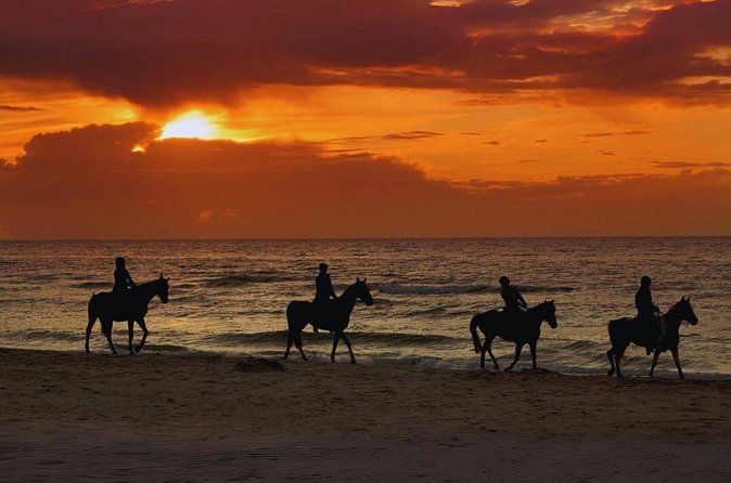 Sunset Horseback Ride by the Beach in Aguadilla, Puerto Rico - Punta Borinquen Beach at sunset