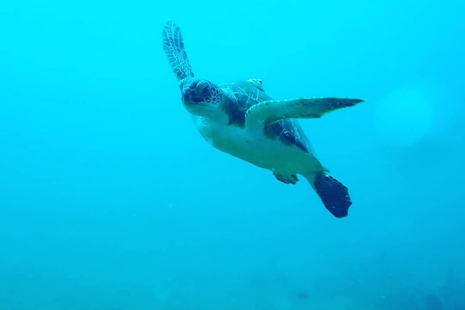 Sunset Snorkeling - Safety, Weather, and Equipment Questions