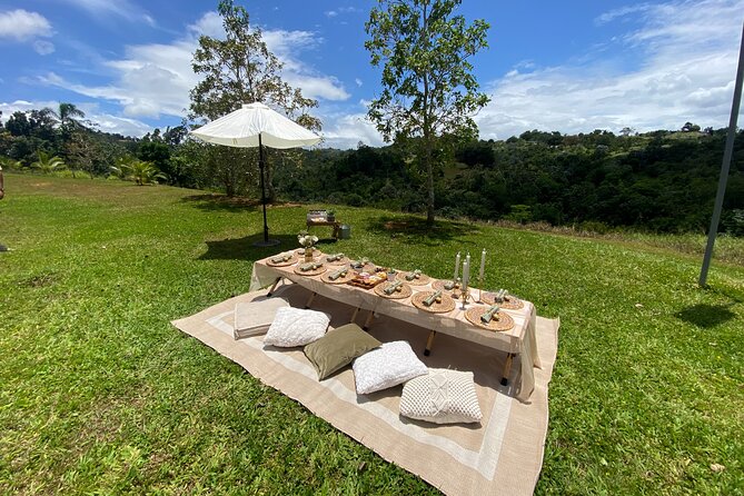 Tailor Made Luxury Picnic with Breathtaking Views - Choosing between a public beach and a quieter location