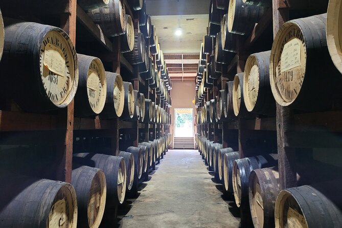 The Barrilito Rum Factory Experience Transportation Included - Key Points to Know