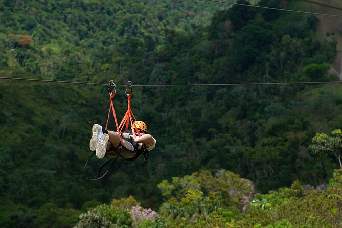 The Beast Zipline at Toroverde Adventure Park in Puerto Rico - Is $64.81 good value?