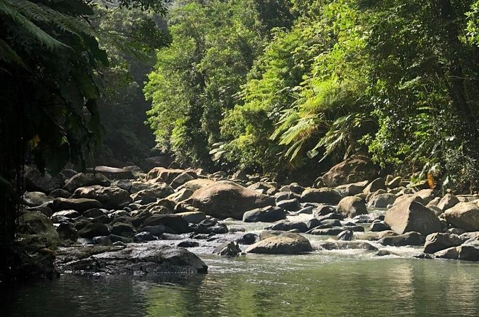 The Best Rainforest Experience in Puerto Rico - A relaxed guide makes a real difference