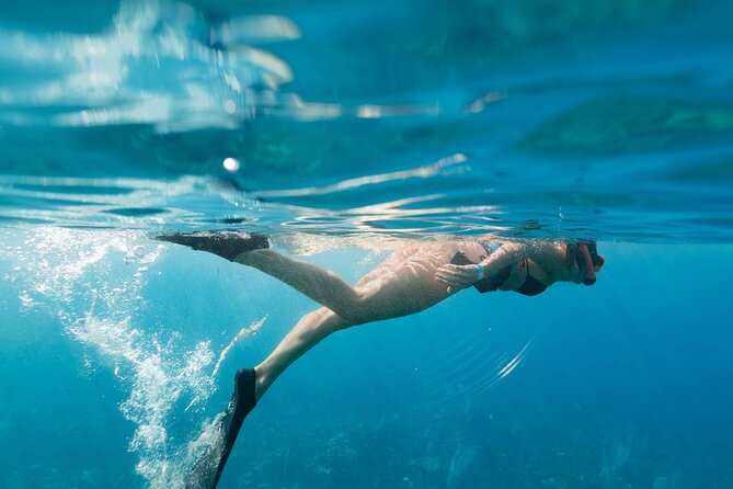 Tobias Icacos Half Day Tour - Two hours on the beach at Cayo Icacos