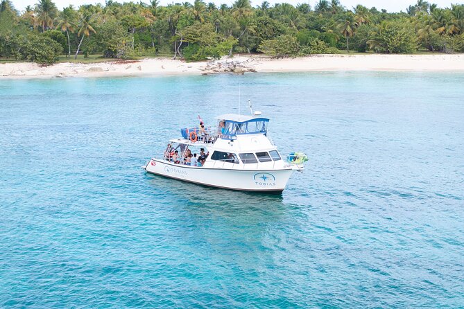 Tobias Icacos Half Day Tour - Lunch, rum drinks, and a floating break