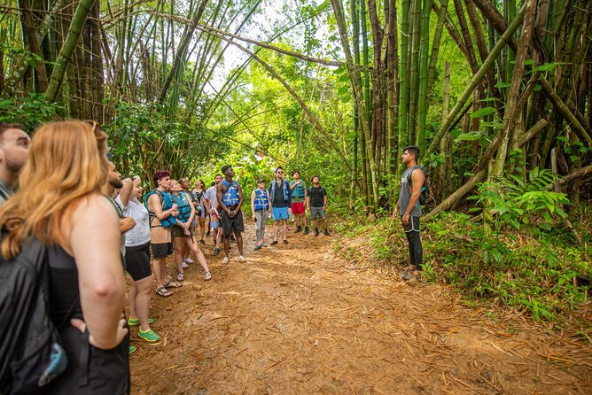 Top Rated El Yunque Rainforest & Waterslide – SmallGroup Tour - Is $45 a fair price?