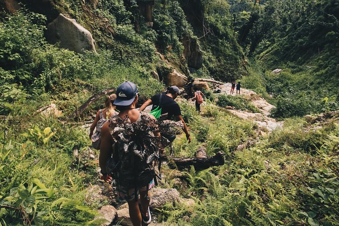 Top Rated El Yunque Rainforest & Waterslide – SmallGroup Tour - Who should book this rainforest outing?