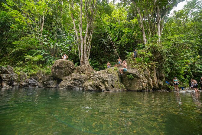 Top Rated El Yunque Rainforest & Waterslide – SmallGroup Tour - Swimming, rope swinging, and water jumps