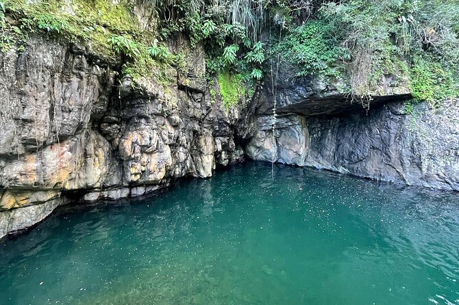 Toro Negro River Hike & Cliff Jumping Adventure; San Juan Pick Up - What the Toro Negro river trek involves