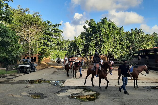 Transfer from San Juan to Dorado or Dorado to San Juan - Vehicle comfort and group size