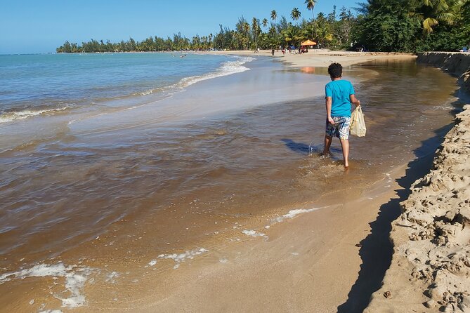 Transportation from San Juan to Ceiba ferry or airport - Arriving at the Ceiba Ferry Terminal