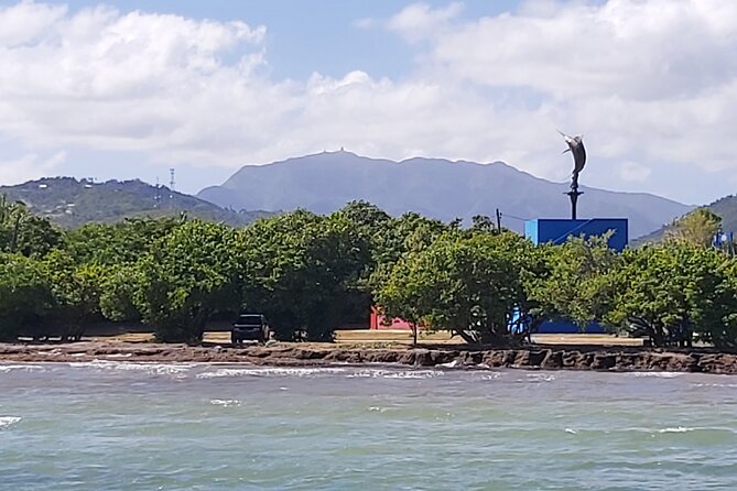 Transportation from San Juan to Ceiba ferry or airport - Price, Group Size, and Overall Value