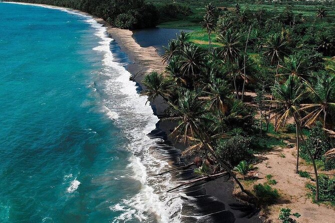 Transportation to Fajardo and Ceiba. Hotels and Airbnb vice versa One Way Trip. - Booking details that affect your plans