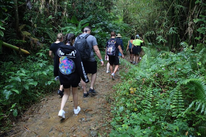 Trio Tour: El Yunque, Luquillo Beach, and Bio Bay Night Kayaking - Luquillo’s kiosks are a useful pause, not a major beach day