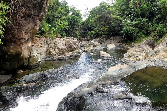 Trio Tour: El Yunque, Luquillo Beach, and Bio Bay Night Kayaking - What $155 buys you
