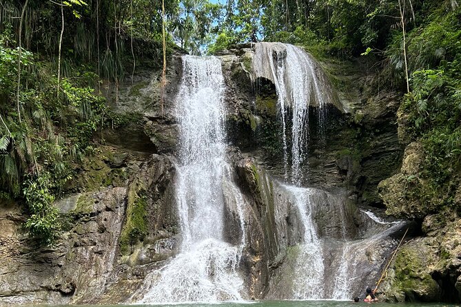 Tropical Rainforest Luxury Experiences - Why This Excursion Works From Isla Verde
