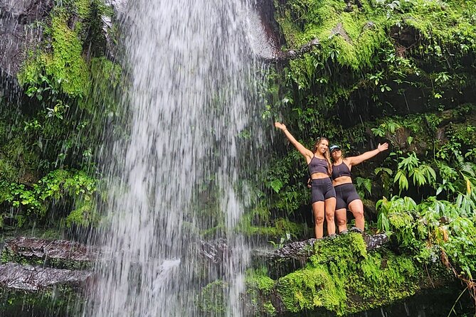 Tropical Rainforest Wonders Full Day Experience from San Juan - Lunch in rural Puerto Rico