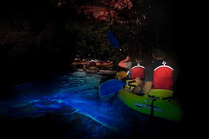 Two-in-One Day Trip: El Yunque and Bio Bay Tour with Transport - The important facts at a glance