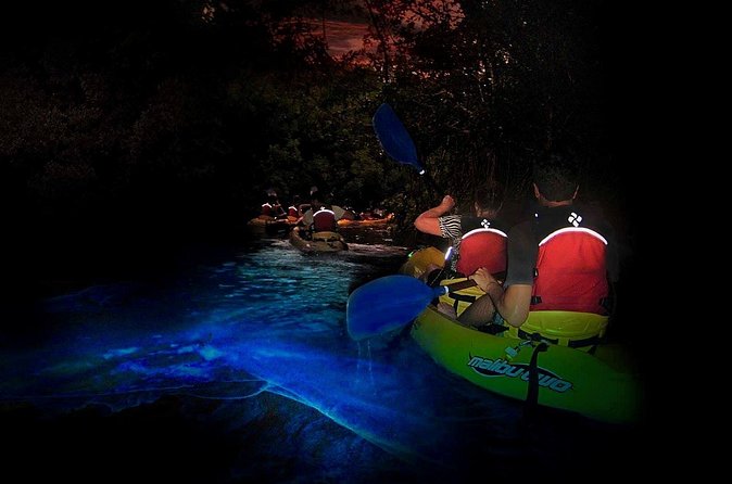 Two-in-One Day Trip: El Yunque and Bio Bay Tour with Transport - The Laguna Grande kayak trip begins in the mangroves