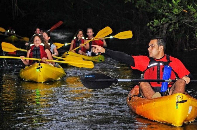 Two-in-One Day Trip: El Yunque and Bio Bay Tour with Transport - Practical booking advice before you pay