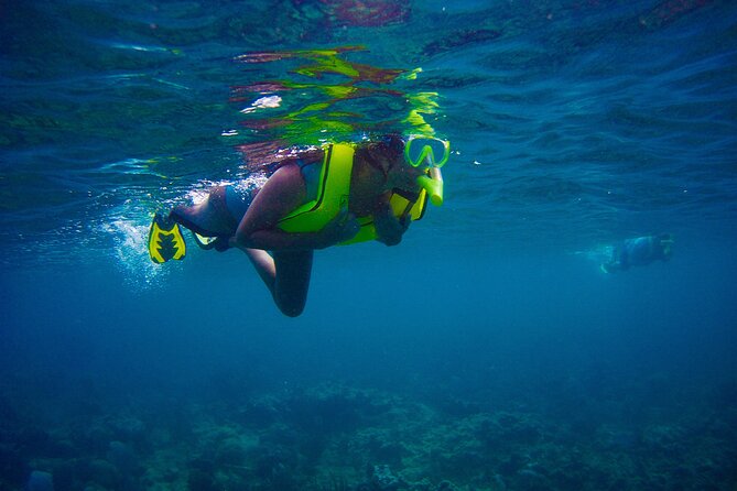 Ultimate Beginner Snorkeling Tour - Why This Rincón Tour Works For Nervous Swimmers