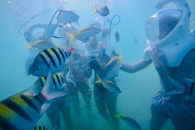 Underwater Sea Trek in San Juan: Explore Beneath the Waves - Who should book this Sea Trek