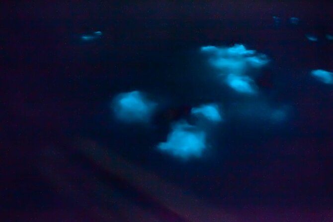 Unforgettable One Day Bioluminescent Kayak Adventure in Vieques - Why Mosquito Bay Feels Different After Dark