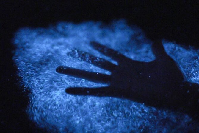 Unforgettable One Day Bioluminescent Kayak Adventure in Vieques - One Hour on Bahía Bioluminiscente