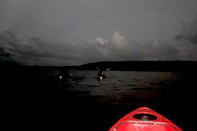 Unforgettable One Day Bioluminescent Kayak Adventure in Vieques - How Bright Will the Bioluminescence Be?