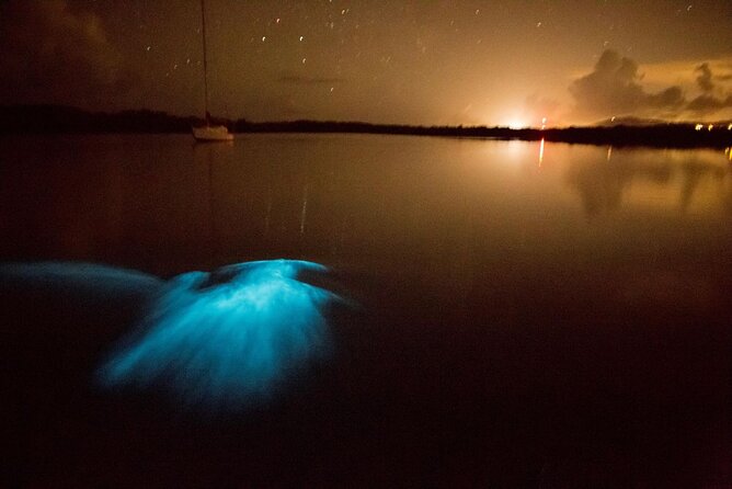 Unforgettable One Day Bioluminescent Kayak Adventure in Vieques - Finding the Esperanza Meeting Point