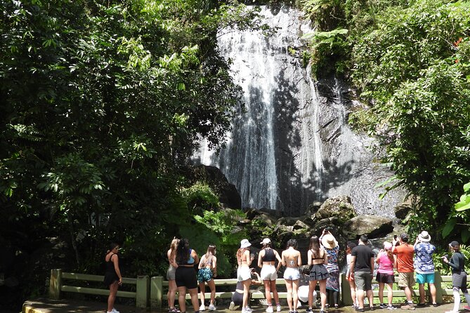 USDA El Yunque National Forest and Luquillo Beach Tour - Key points to know before booking