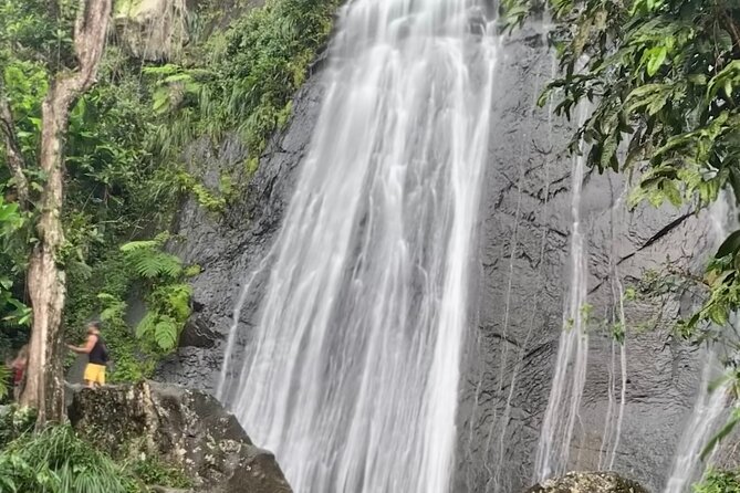 USDA El Yunque National Forest and Luquillo Beach Tour - Why this tour works well from San Juan