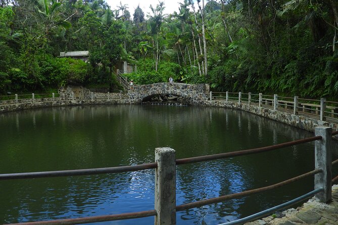 USDA El Yunque National Forest and Luquillo Beach Tour - Puente Roto and the Rio Mameyes walk