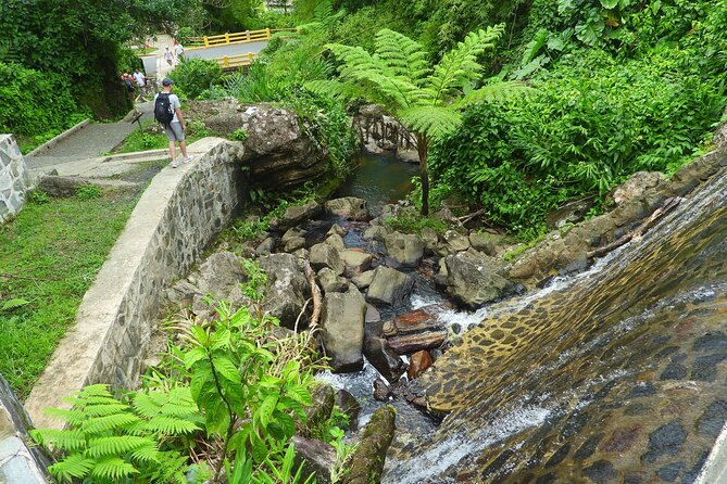 USDA El Yunque National Forest and Luquillo Beach Tour - Luquillo Beach and the kiosks: two hours to slow down