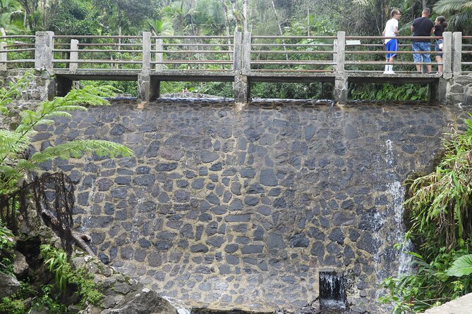 USDA El Yunque National Forest and Luquillo Beach Tour - The guides can shape the whole day