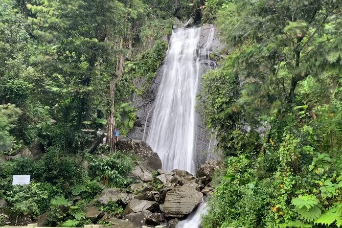 USDA El Yunque National Forest and Luquillo Beach Tour - The ride from San Juan and what the price covers