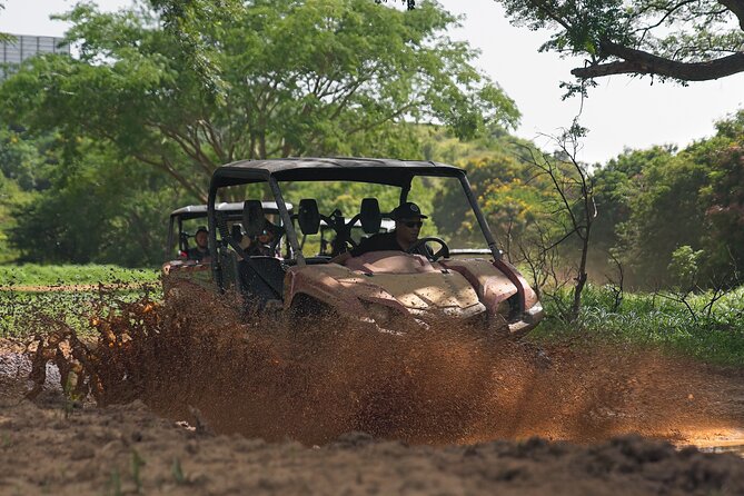 UTV adventure in Naguabo Puerto Rico 50 minutes trip 80 acres - How much value do you get for $100?