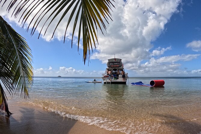 Vieques All-Inclusive: Swim with Turtles & Enjoy Pristine Beaches - Key Points to Know Before Booking