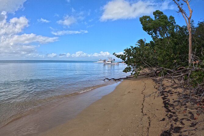 Vieques All-Inclusive: Swim with Turtles & Enjoy Pristine Beaches - Why This Fajardo Boat Trip Is Worth Considering
