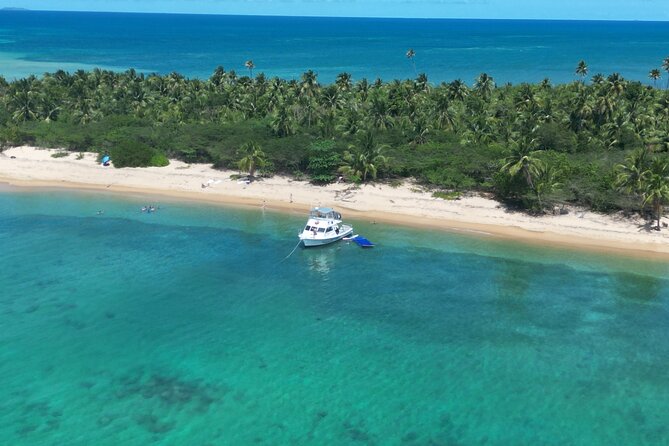 Vieques All-Inclusive: Swim with Turtles & Enjoy Pristine Beaches - Snorkeling in Clear Water Near Marine Life