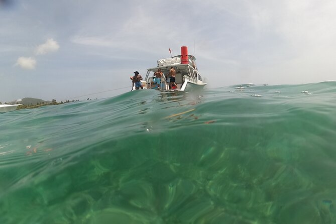 Vieques All-Inclusive: Swim with Turtles & Enjoy Pristine Beaches - Tropical Drinks and the Relaxed Second Stop