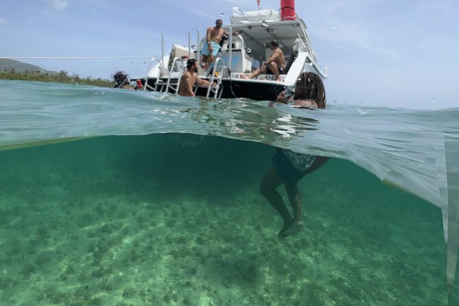 Vieques All-Inclusive: Swim with Turtles & Enjoy Pristine Beaches - What the $185 Price Really Covers