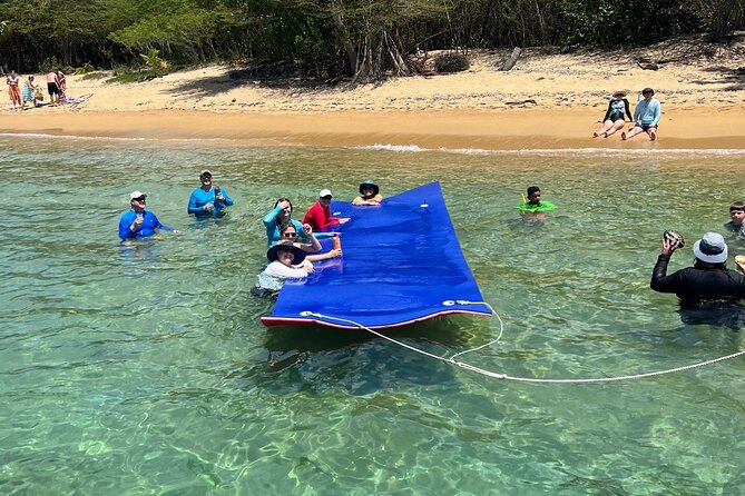 Vieques All-Inclusive: Swim with Turtles & Enjoy Pristine Beaches - Weather, Changes, and Practical Restrictions
