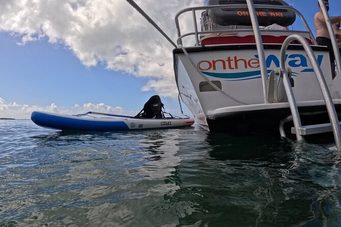Vieques All-Inclusive: Swim with Turtles & Enjoy Pristine Beaches - Getting to the Marina Before the 7:45 a.m. Departure