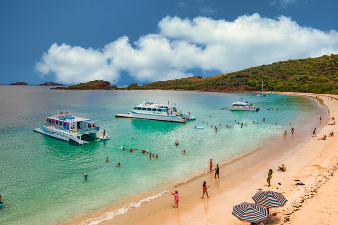 Vieques: Beach and Snorkeling Tour by Catamaran from Fajardo - Who will enjoy this trip most