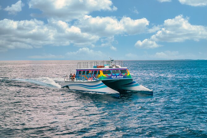 Vieques: Beach and Snorkeling Tour by Catamaran from Fajardo - Choosing a Vieques beach