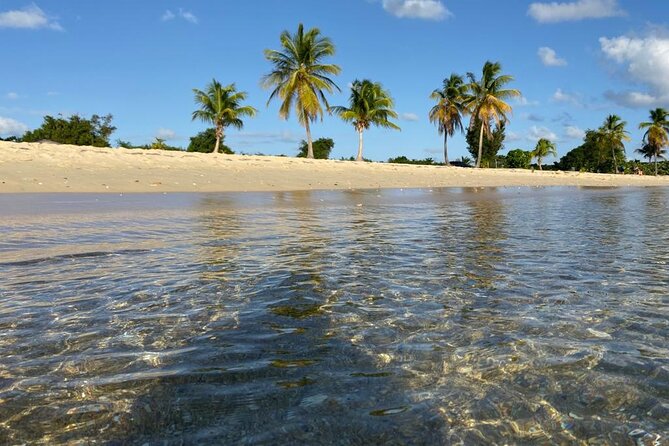 Vieques Bio Bay Tour and Beach Day Trip from San Juan by Ferry - Leaving San Juan at 12:40 PM