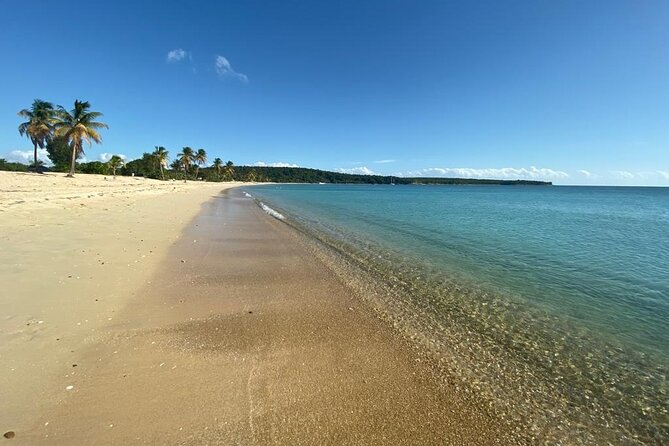 Vieques Bio Bay Tour and Beach Day Trip from San Juan by Ferry - Sun Bay or Esperanza Beach for an hour