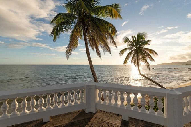 Vieques Bio Bay Tour and Beach Day Trip from San Juan by Ferry - Is the $230 price fair?