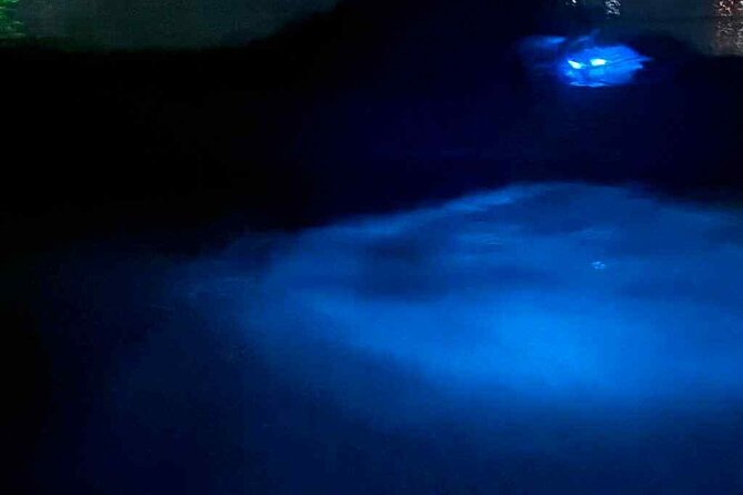 Vieques island Biobay Kayaking Tour - The glow beneath the clear kayaks